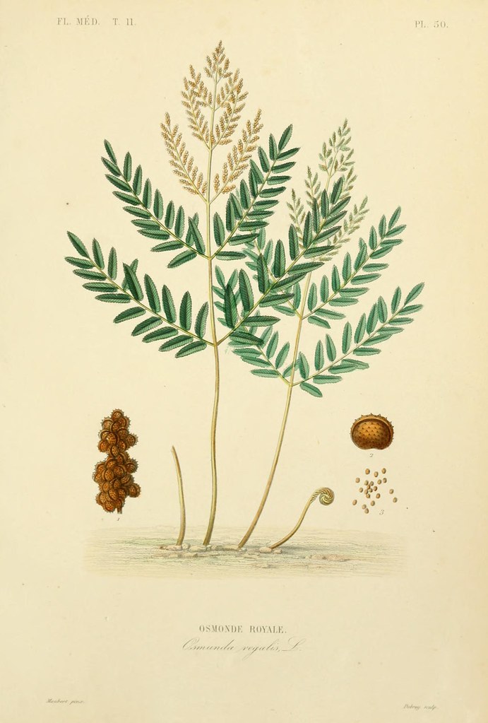 49583874242 4e68d45134 b